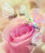 Seelenrose