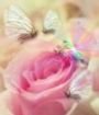 Seelenrose